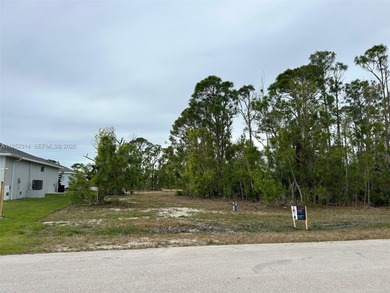 Cape Coral Area Lot For Sale in Other City - In The State Of Florida Florida