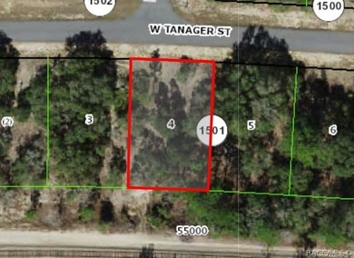 Rush Lake Lot For Sale in Citrus Springs Florida