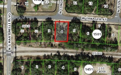 Buildable Lot in Citrus Springs presenting an excellent - photo 2
