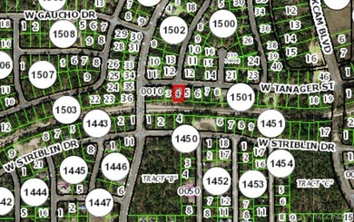 Buildable Lot in Citrus Springs presenting an excellent - photo 3