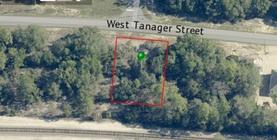 Buildable Lot in Citrus Springs presenting an excellent - photo 4