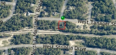 Buildable Lot in Citrus Springs presenting an excellent - photo 5