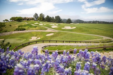 The Cielo - In the exclusive Tehama community envisioned by - photo 16