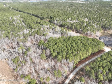 Gated Community Living in Edenton, NC! Looking for privacy - photo 2