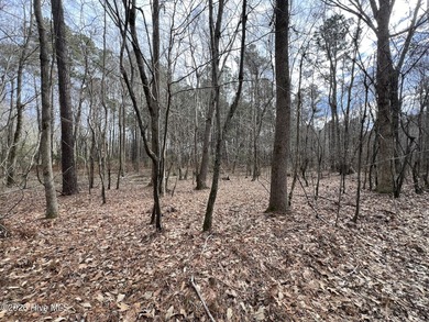 Gated Community Living in Edenton, NC! Looking for privacy - photo 7