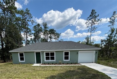 Bonable Lake Home For Sale in Dunnellon Florida