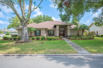 Lake Home For Sale in Lakeland, Florida