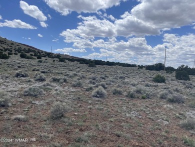 Concho Lake Lot For Sale in Concho Arizona