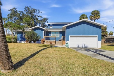 Welcome to your slice of paradise in beautiful Crystal River - photo 1