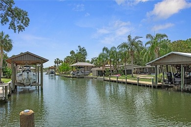 Welcome to your slice of paradise in beautiful Crystal River - photo 7