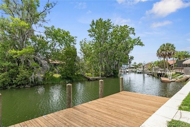 Welcome to your slice of paradise in beautiful Crystal River - photo 8