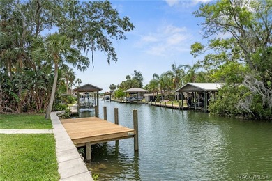 Welcome to your slice of paradise in beautiful Crystal River - photo 9
