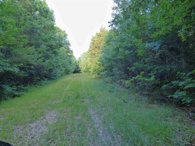 If you're looking for a great place to build your new home, this - Lake Acreage For Sale in Mount Pleasant, Texas