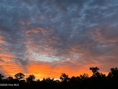 (private lake, pond, coastal) Lot For Sale in Leland North Carolina