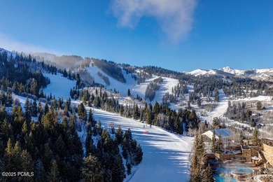 Residence 902 at the St. Regis Deer Valley is a rare nearly 5 - photo 41