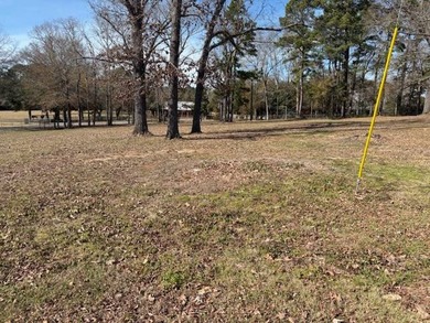 Toledo Bend Reservoir Lot For Sale in Many Louisiana