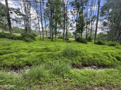 Lake Lot Sale Pending in Lake Ariel, Pennsylvania