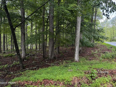 Lake Wallenpaupack Lot For Sale in Greentown Pennsylvania