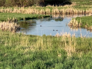 (private lake, pond, creek) Home Active Under Con in Hall Montana