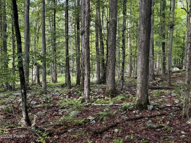 Lake Wallenpaupack Lot For Sale in Greentown Pennsylvania