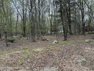 Lake Lot For Sale in Gouldsboro, Pennsylvania