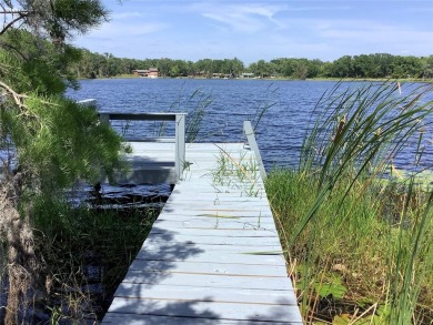 Lake Home For Sale in Odessa, Florida