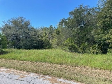 Lake Marion - Polk County Lot For Sale in Kissimmee Florida