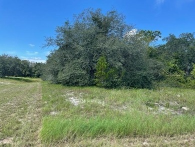 SELLER SAY SELL!!  BUILD YOUR DREAM HOME! Corner Lot - photo 2