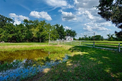 (private lake, pond, creek) Home For Sale in Arthur City Texas