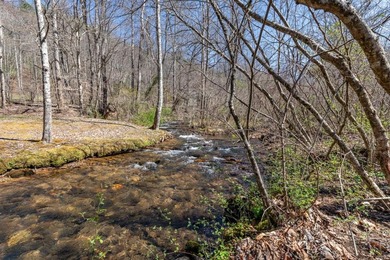 Hiwassee River - Clay County Lot For Sale in Hayesville North Carolina