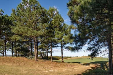 $25,000 Concession on this Premier homesite in Bay Creek's - photo 12