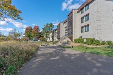 2 bedroom, 2 bathroom condo located in Crystal! When you walk in - photo 22
