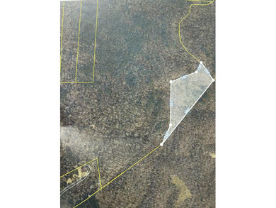 Chickamauga Lake Lot For Sale in Dayton Tennessee