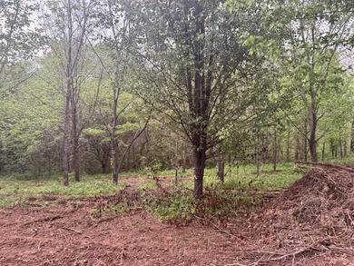 Property is conveniently located to multiple POI Walnut Creek - photo 10