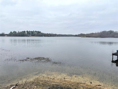 Beautiful Lake View!  Waterfront Home on Teague Club Lake!  Stay - photo 30