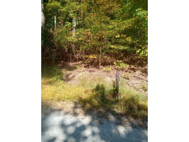 Lake Lot For Sale in Clarkson, Kentucky