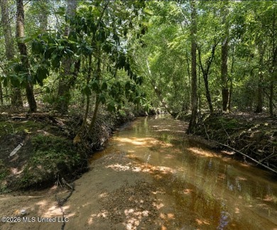 73.6+/- Acres on Summers Lane | Brookhaven, Mississippi Welcome - photo 1