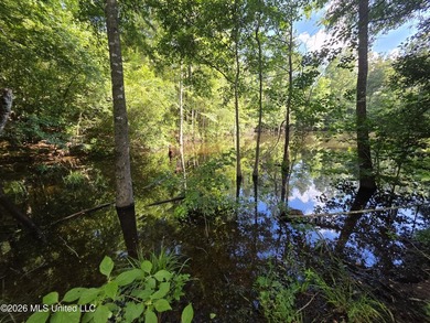 73.6+/- Acres on Summers Lane | Brookhaven, Mississippi Welcome - photo 3