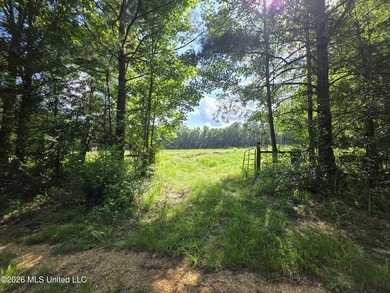 73.6+/- Acres on Summers Lane | Brookhaven, Mississippi Welcome - photo 4