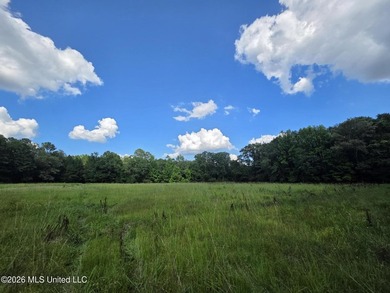 73.6+/- Acres on Summers Lane | Brookhaven, Mississippi Welcome - photo 5