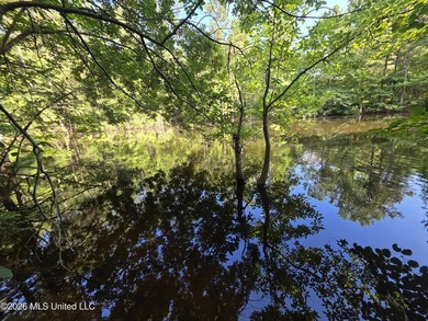 73.6+/- Acres on Summers Lane | Brookhaven, Mississippi Welcome - photo 7
