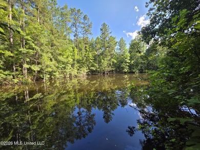 73.6+/- Acres on Summers Lane | Brookhaven, Mississippi Welcome - photo 8