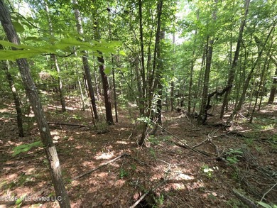 73.6+/- Acres on Summers Lane | Brookhaven, Mississippi Welcome - photo 9