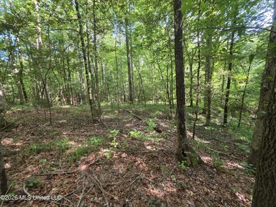 73.6+/- Acres on Summers Lane | Brookhaven, Mississippi Welcome - photo 10