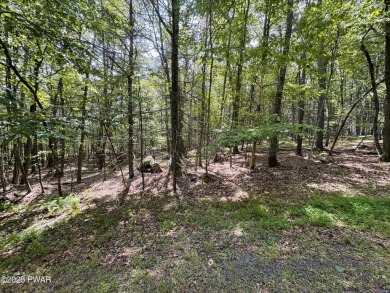 Lake Lot For Sale in Hawley, Pennsylvania
