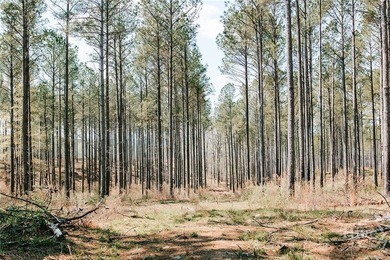 (private lake, pond, coastal) Acreage For Sale in Lexington Georgia