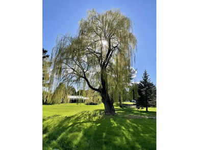 Norwood Lake Lot For Sale in Norwood New York