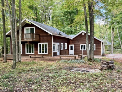 Lake Home For Sale in Bellaire, Michigan