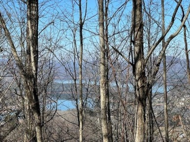 Lake Lot For Sale in Hayesville, North Carolina