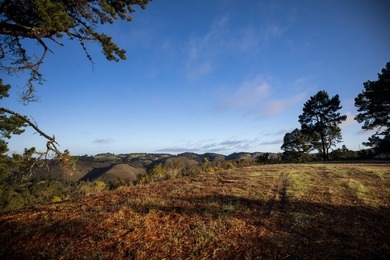 THE ROCK | Lot 29 MLS In the exclusive Tehama community - photo 12